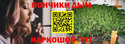 шишки Заводоуковск