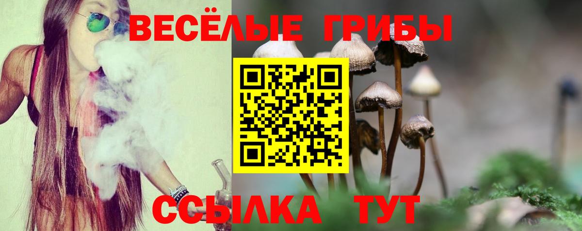 Миллерово  наркошоп  Вход с VPN  Галлюциногенные грибы Cubensis  Галлюциногенные грибы Cubensis 